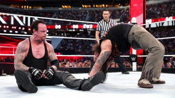 送葬者见证了wwe 摔角狂热 辉煌20年