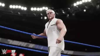 肯德基上校老爷爷居然要参加wwe