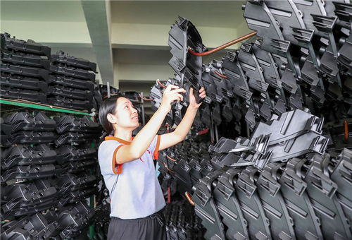 四川广安 大市 带 小市 建好 经济圈 图