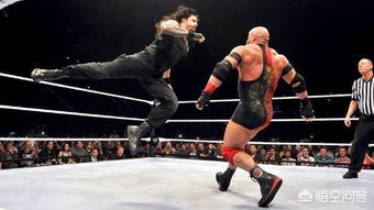 wwe摔角要不要从小练起 他们全是半路出家