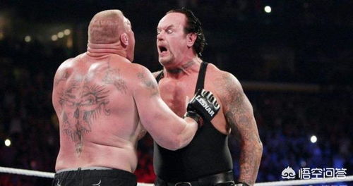 wwe摔角要不要从小练起 他们全是半路出家