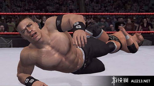美国职业摔角联盟2007 xbox360截图图片 28 游侠图库
