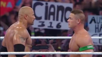 wwe摔角狂热大赛 –