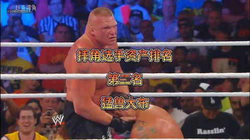 摔角选手资产排名,第二名,猛兽大布 摔角 wwe 拳击比赛