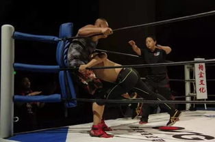 中国职业摔角的未来 征途起航